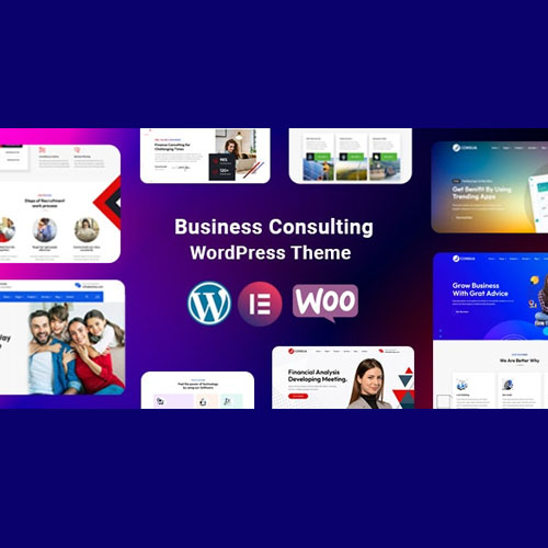 Consua – Business Consulting WordPress