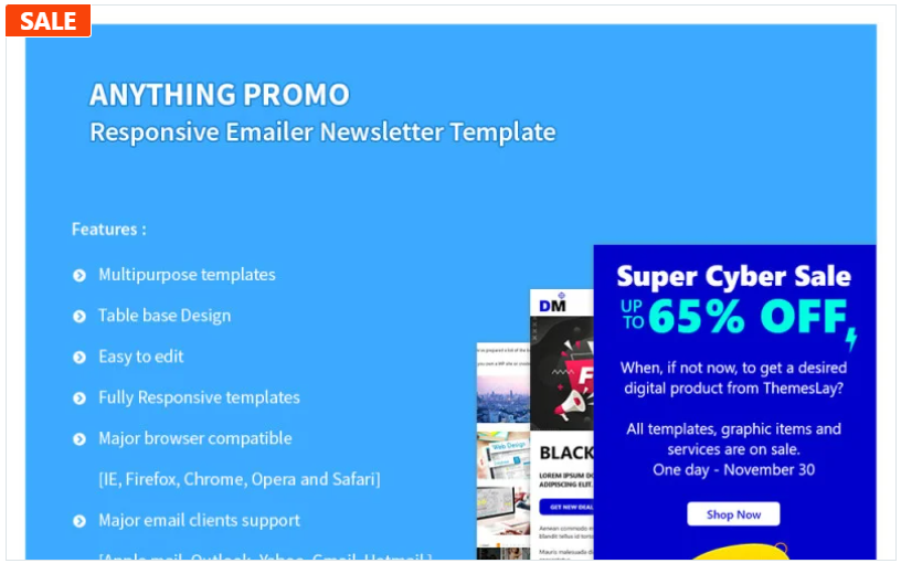 Anything Promo - Responsive Emailer Newsletter Template