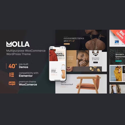 Molla | Multi-Purpose WooCommerce Theme