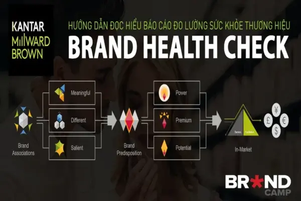 Brand Health Check – Đọc Hiểu Báo Cáo Đo Lường Sức Khỏe Thương Hiệu – Brand Camp