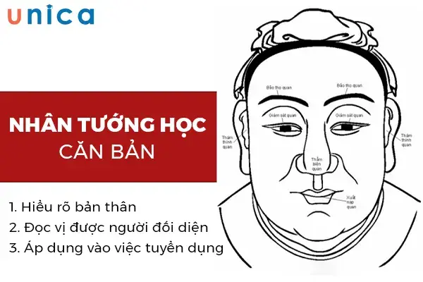 Khóa Học Nhân Tướng Học Căn Bản Hay Nhất – Unica