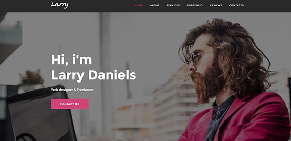 Larry. – Personal Onepage WordPress Theme 1.2.1