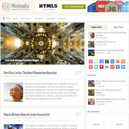 MyThemeShop Minimalia WordPress Theme