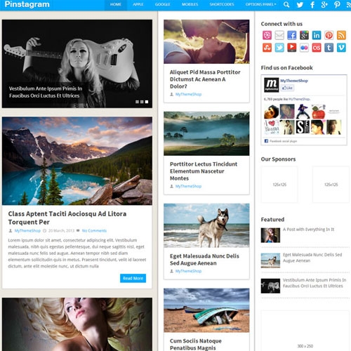 MyThemeShop Pinstagram WordPress Theme