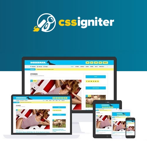 CSS Igniter Doberman WordPress Theme