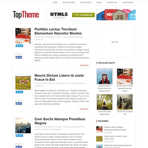 MyThemeShop Top WordPress Theme