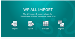 WP All Export – WooCommerce Export Add-On